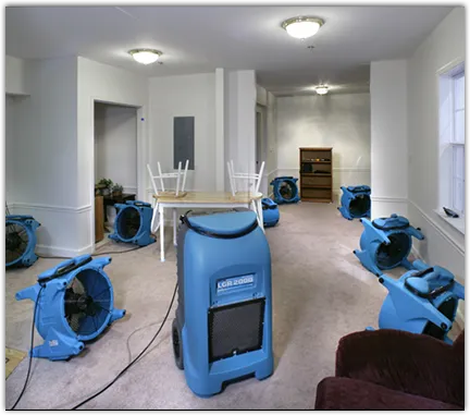 Emergency Water Damage Services in Plant City, FL