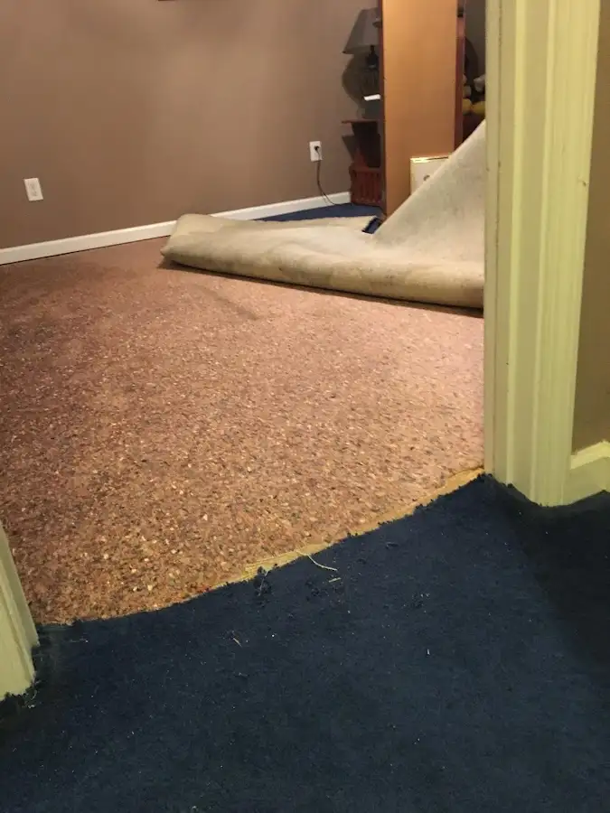 Carpet pad removal revealing water damage during Drying & Dehumidification in Plant City