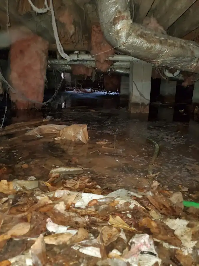 Crawl space flood assessment for Commercial Water Damage Restoration in Plant City