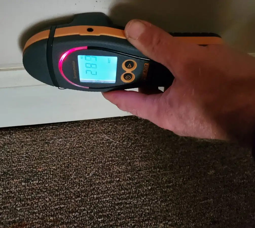 Moisture detection at baseboard during Sewage Cleanup & Sanitation in Plant City